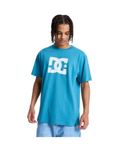 Remera Mc Dc Star Hss DC