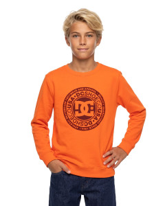 Buzo Circle<br>Star DC Niños
