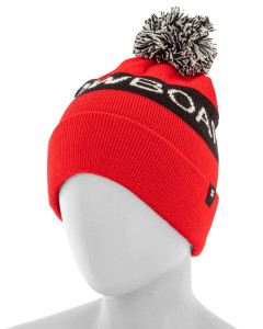 Beanie Snow Chester DC