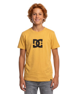 Remera MC DC<br>Star DC Niños
