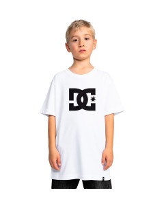 Remera Mc Star DC Niños