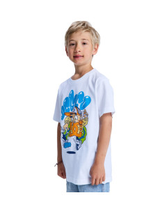 Remera Mc Rollpainter<br>Youth Hss DC Niños