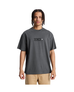 Remera Mc Tig<br>Master Hss DC