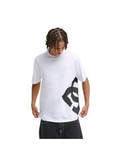 Remera Mc Lanai Hss DC